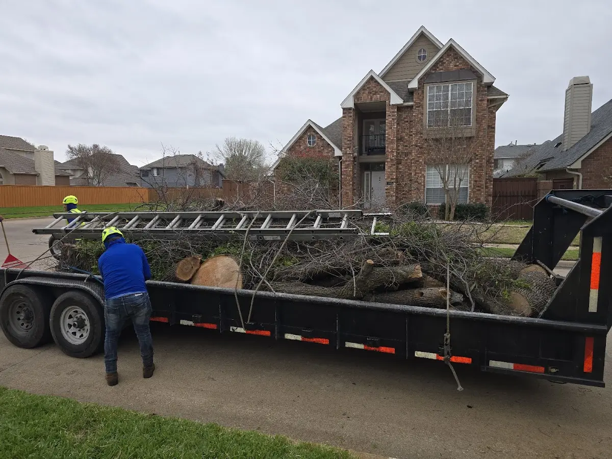 Expert Lot Clearing with proper safety equipment in Osage